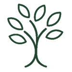 An outline of a tree